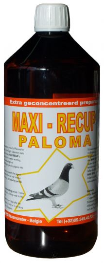 Paloma Maxi-Recup 1000ml 